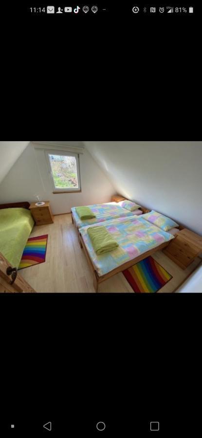 Zagroda Z Antonowka Szypliszki Exterior foto